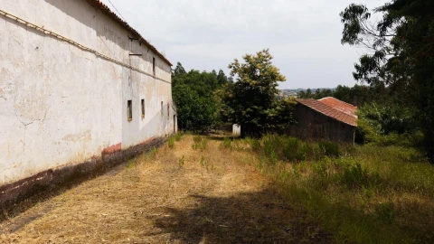 Quinta T5 para Venda em Caldas da Rainha - Santo Onofre e Serra do Bouro