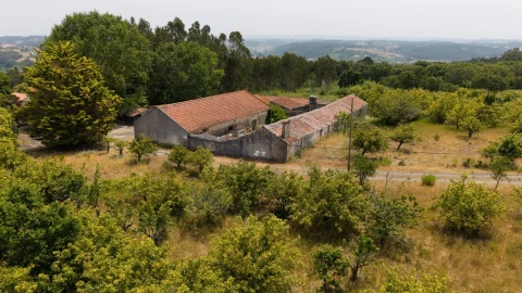 Quinta T5 para Venda em Caldas da Rainha - Santo Onofre e Serra do Bouro