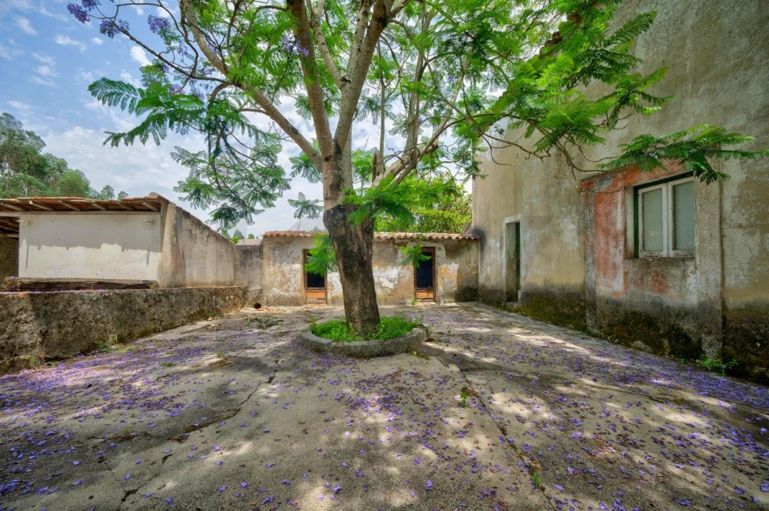 Quinta T5 para Venda em Caldas da Rainha - Santo Onofre e Serra do Bouro Foto 67