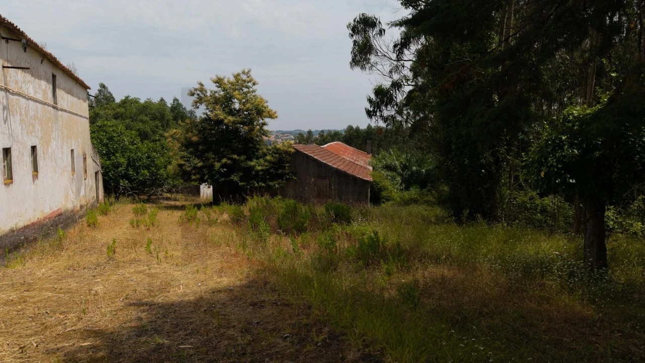Quinta T5 para Venda em Caldas da Rainha - Santo Onofre e Serra do Bouro Foto 96