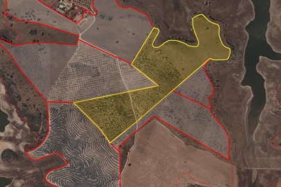 Terreno para Venda em Ourique