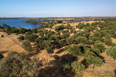 Terreno para Venda em Ourique