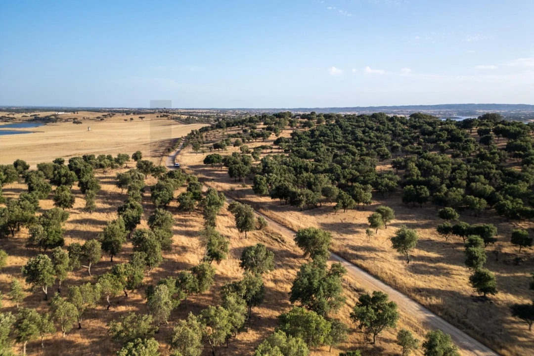 Terreno para Venda em Ourique Foto 11