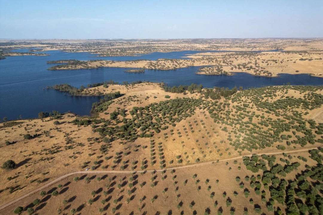 Terreno para Venda em Ourique Foto 3
