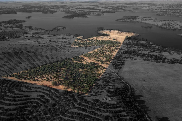 Terreno para Venda em Ourique Foto 2