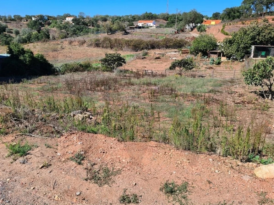 Terreno para Venda em Santiago do Cacém, Santa Cruz e São Bartolomeu da Serra Foto 6