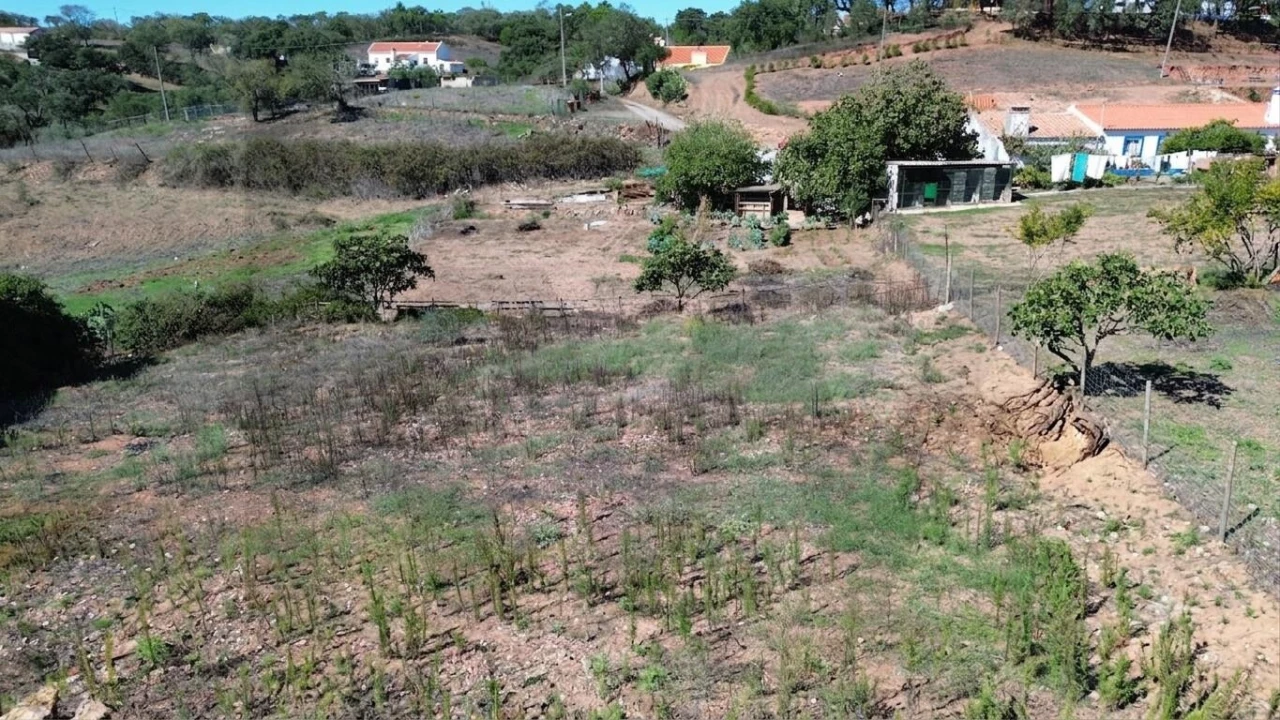 Terreno para Venda em Santiago do Cacém, Santa Cruz e São Bartolomeu da Serra Foto 8