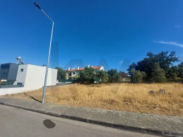 Terreno para Venda em Amora