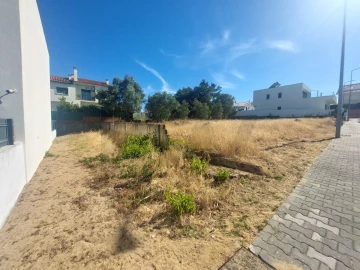 Terreno para Venda em Amora