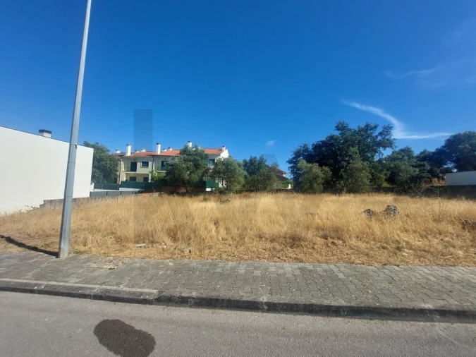 Terreno para Venda em Amora Foto 4