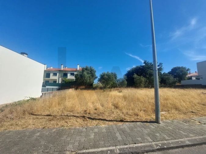 Terreno para Venda em Amora Foto 3