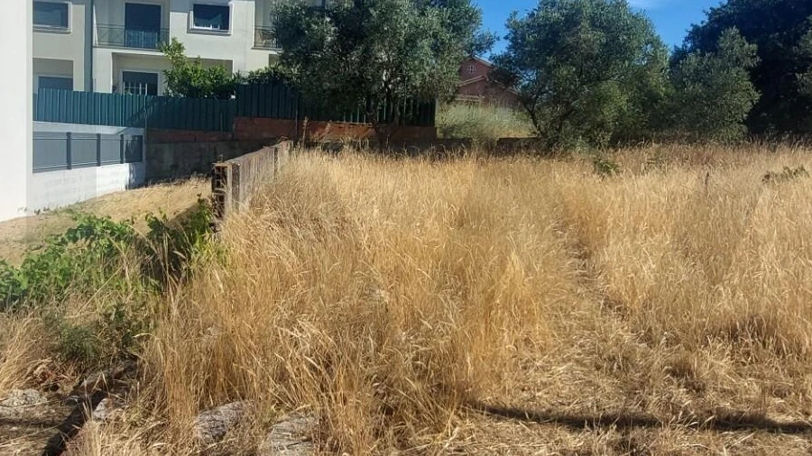 Terreno para Venda em Amora