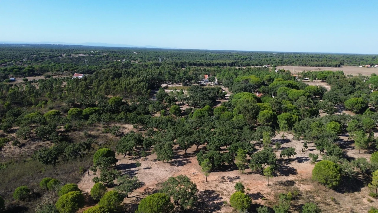 Quinta T3 para Venda em Melides Foto 17
