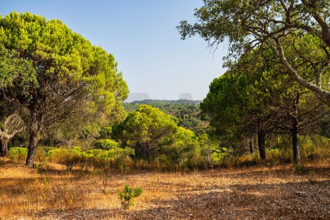 Quinta T3 para Venda em Melides Foto 14