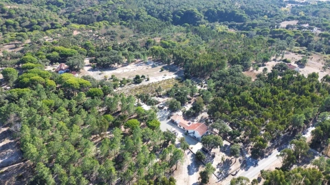 Quinta T3 para Venda em Melides