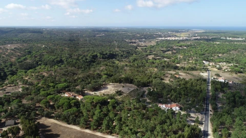 Quinta T3 para Venda em Melides
