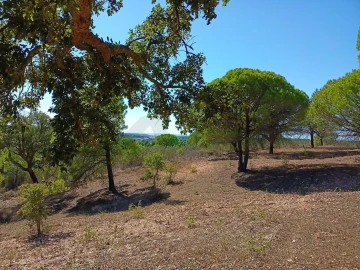 Quinta T3 para Venda em Melides