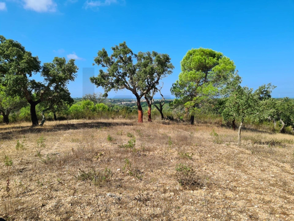 Quinta T3 para Venda em Melides Foto 21