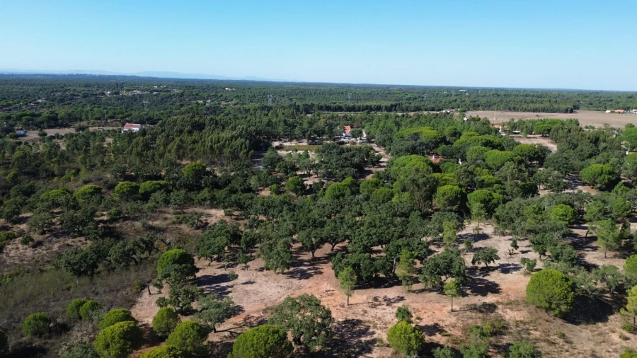 Quinta T3 para Venda em Melides Foto 17