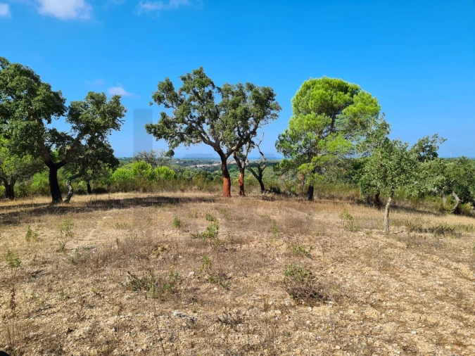 Quinta T3 para Venda em Melides Foto 21