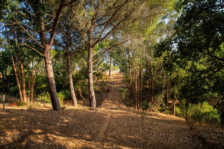 Quinta T3 para Venda em Melides Foto 16