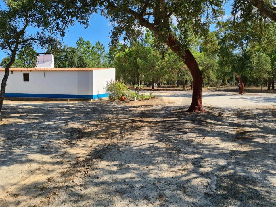 Quinta T3 para Venda em Melides Foto 2