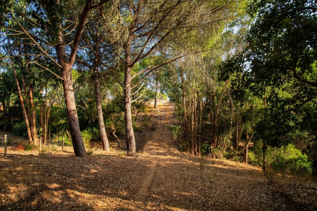 Quinta T3 para Venda em Melides Foto 16
