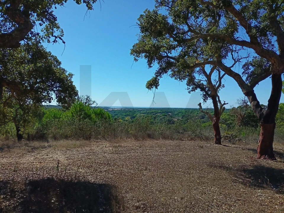 Quinta T3 para Venda em Melides Foto 4