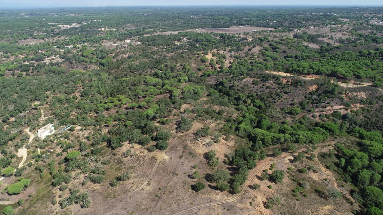 Quinta T3 para Venda em Melides Foto 22