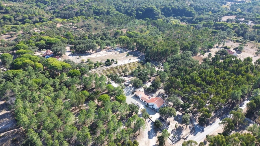Quinta T3 para Venda em Melides