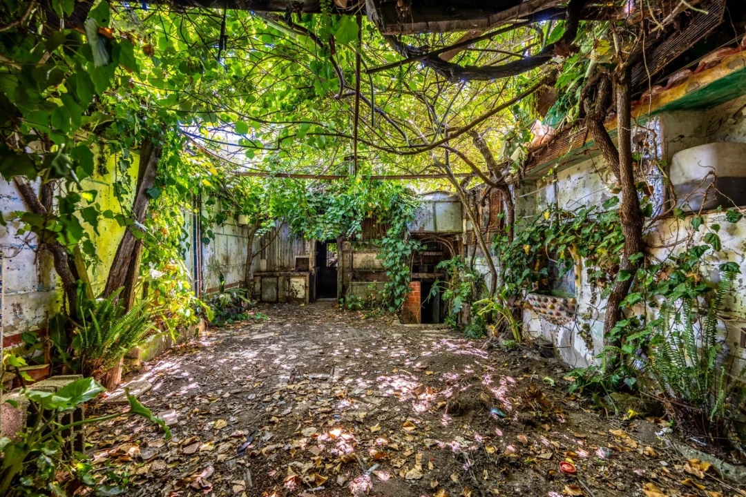 Prédio para Venda em Bonfim Foto 18