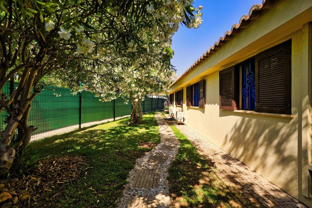 Negócio para Venda em Alvor Foto 43