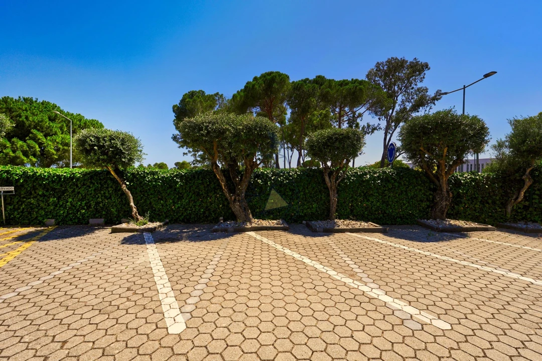 Negócio para Venda em Alvor Foto 47
