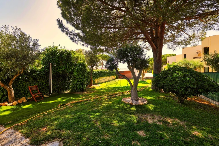 Negócio para Venda em Alvor Foto 44