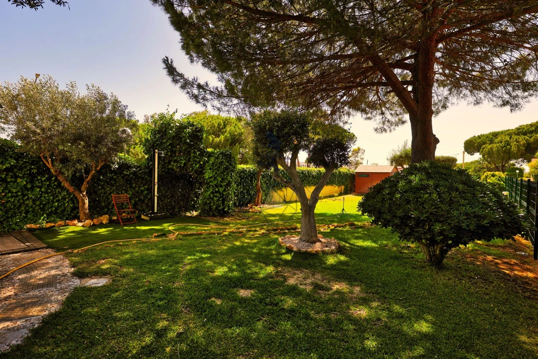 Negócio para Venda em Alvor Foto 42
