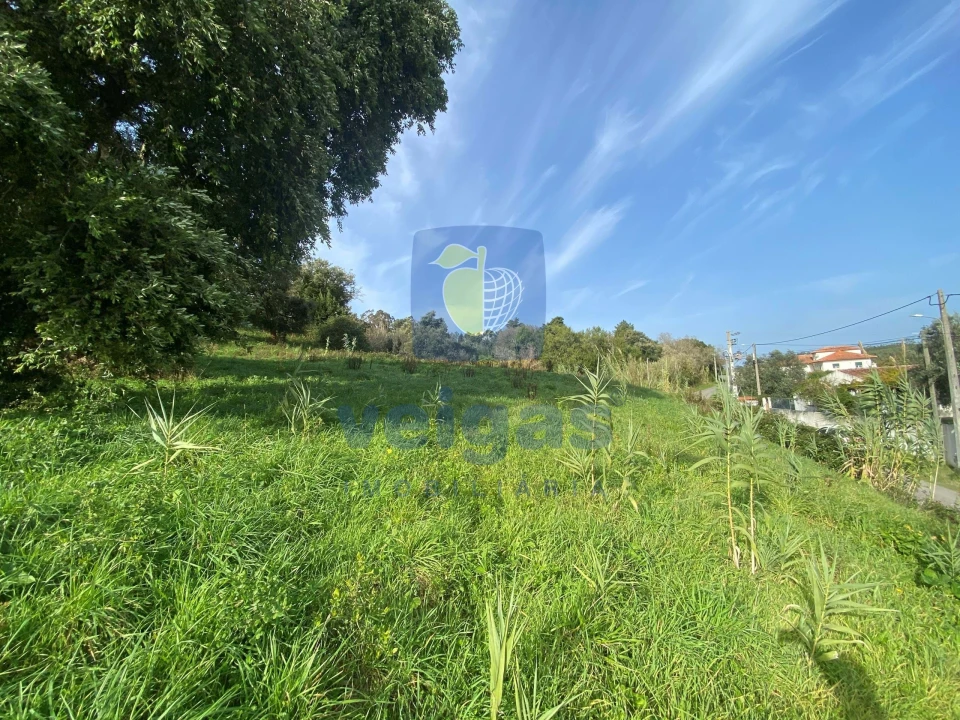 Terreno para Venda em Salir de Matos Foto 4