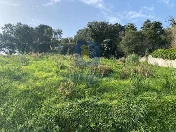 Terreno para Venda em Salir de Matos
