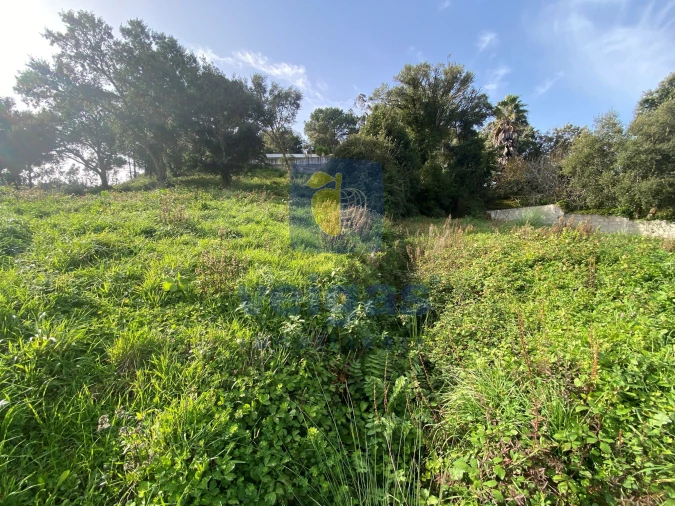 Terreno para Venda em Salir de Matos Foto 2