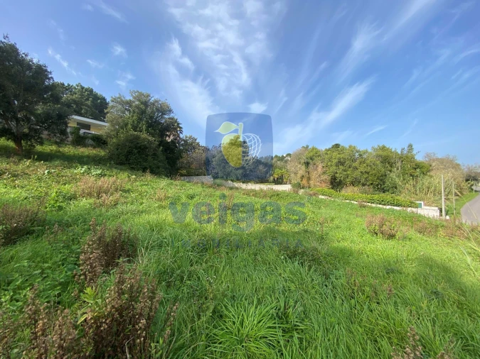 Terreno para Venda em Salir de Matos Foto 7