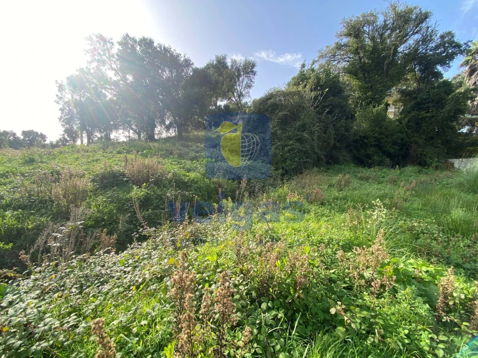 Terreno para Venda em Salir de Matos Foto 3