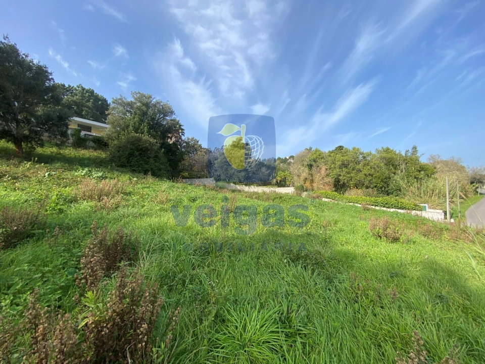 Terreno para Venda em Salir de Matos Foto 7