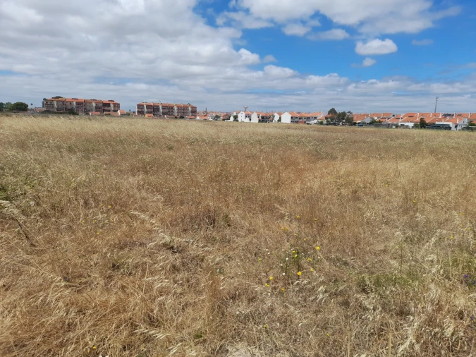 Terreno para Venda em Samora Correia Foto 10
