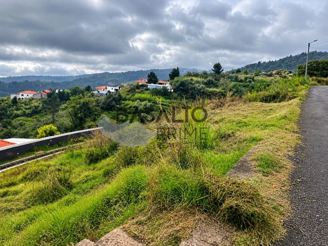 Terreno Agricola ou Rústico para Venda em Arco da Calheta Foto 5