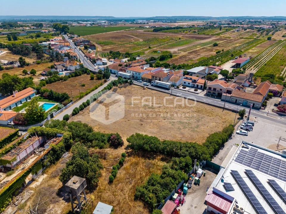 Terreno para Venda em Alpiarça Foto 8