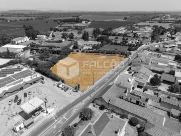 Terreno para Venda em Alpiarça
