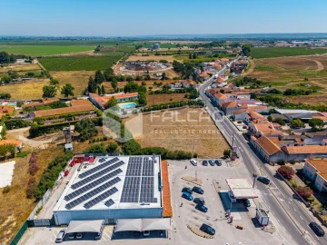 Terreno para Venda em Alpiarça