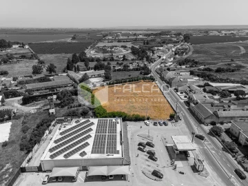 Terreno para Venda em Alpiarça