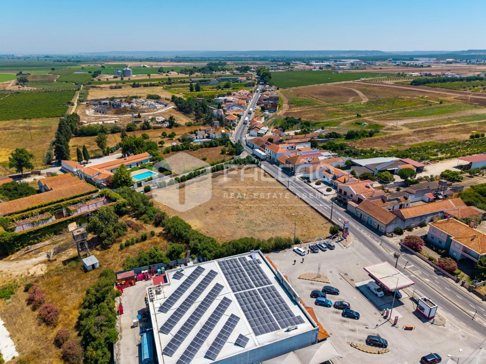 Terreno para Venda em Alpiarça Foto 6