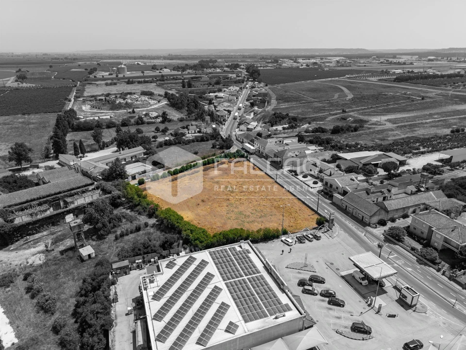 Terreno para Venda em Alpiarça Foto 7