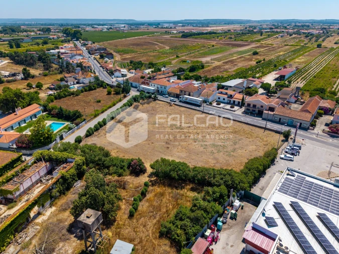 Terreno para Venda em Alpiarça Foto 8
